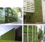 Bibliografia morfologica - parete verde